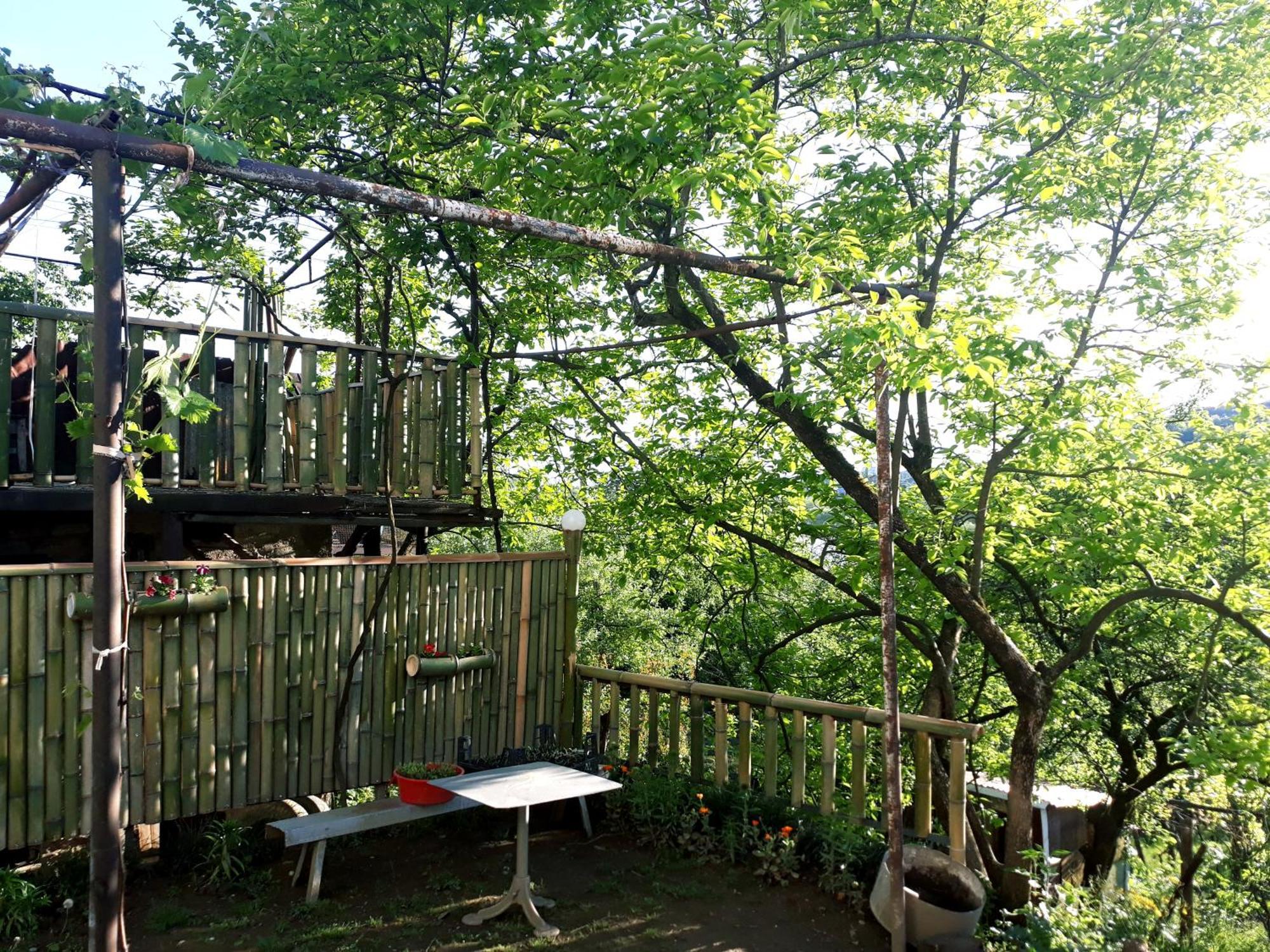 Nature House Koetaisi Buitenkant foto